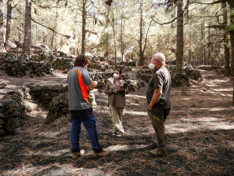 La ceniza volcánica amenaza las 80 cabañas de piedra seca del barranco de las ovejas