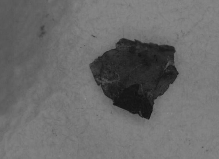 Escamas de pintura, nueva amenaza ambiental para los océanos