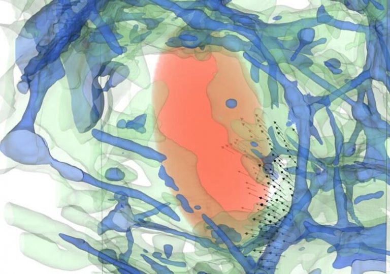 Los vacíos cósmicos del universo se llenan constantemente de materia de su exterior