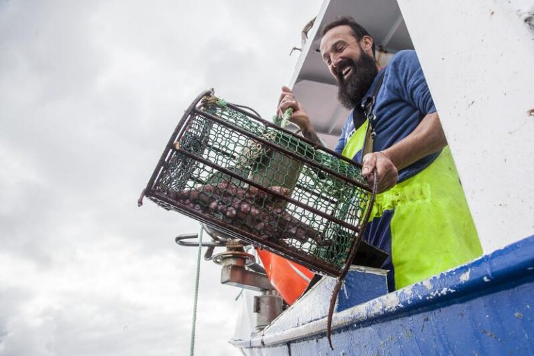 Expertos urgen a estrechar la colaboración entre científicos y pescadores de pulpo
