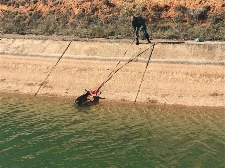 Los cazadores denuncian a la Confederación del Tajo ante la Fiscalía por 