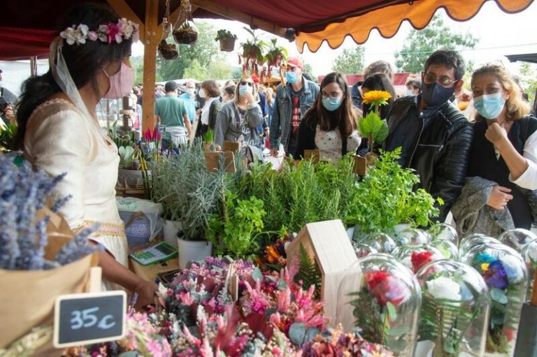 Más de 240.000 personas visitaron el Mercado Cervantino tras su traslado a un recinto vallado