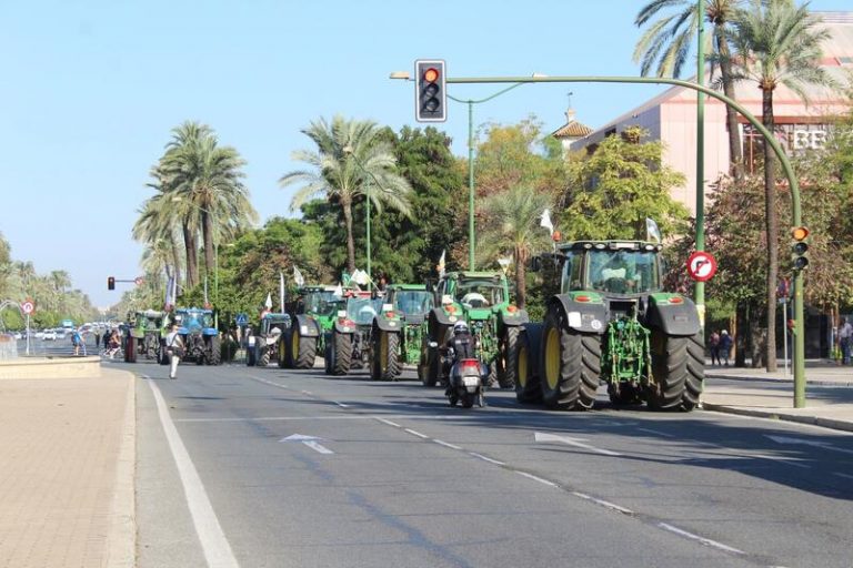 Agricultores y ganaderos andaluces claman en Sevilla por una PAC 