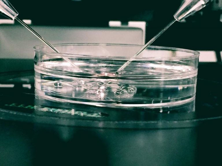 Los nacimientos por fecundación 'in vitro' aumentan un 1,3%