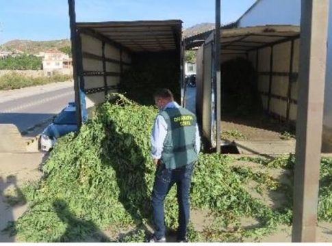 Cannabis El PSOE no apoyará la ley de Errejón para legalizar el cannabis