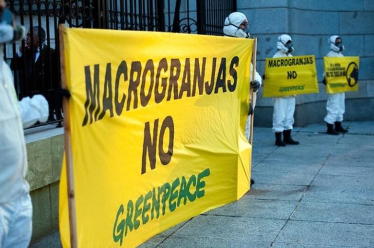 Greenpeace exige al Gobierno una legislación que proteja el agua