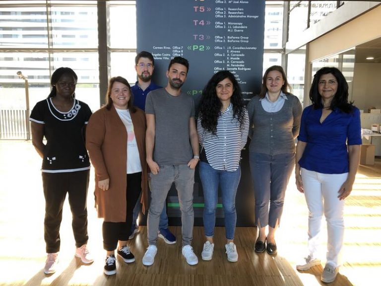 Descubren una nueva vía de señalización celular clave en el abordaje del gigantismo