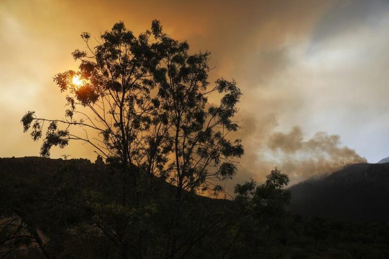 Los fuegos descienden un 25% en lo que va de año pero crece un 5% la superficie afectada