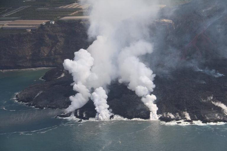 Avistan anguilas jadineras, gallos y viejas en el frente de la 'fajana' creada en la costa de Tazacorte