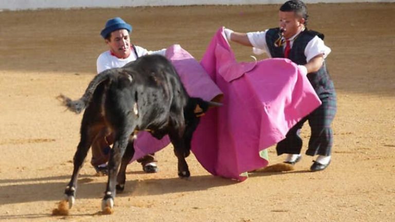 Podemos pide en el Congreso la prohibición del 'bombero torero'