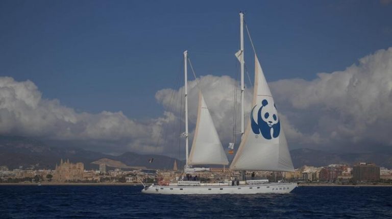 La expedición del 'Blue Panda' de WWF llega a Mallorca para pedir el 30% de Áreas Marinas en 2030