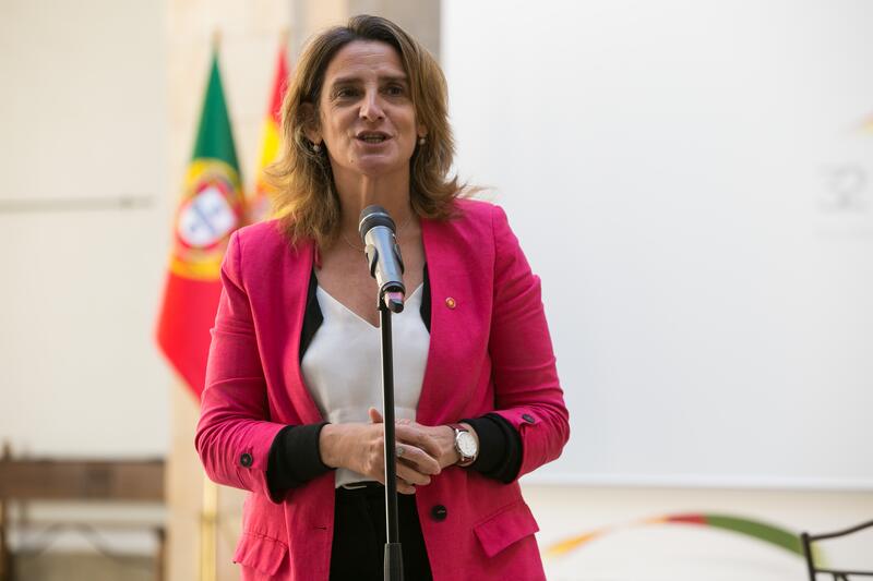 Teresa Ribera Ribera descarta