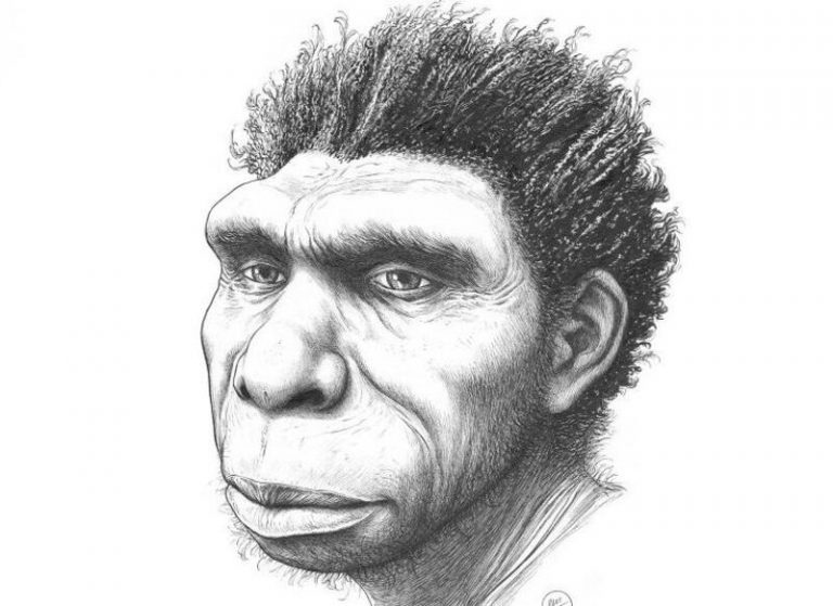 Paleoantropólogos nombran una nueva especie de ancestro humano, el 'Homo bodoensis'