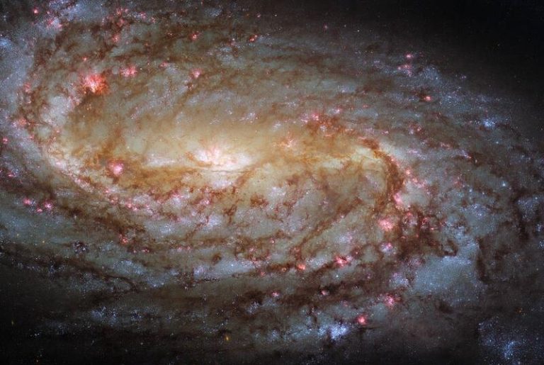 Hubble captura una imagen de la galaxia espiral NGC 2903
