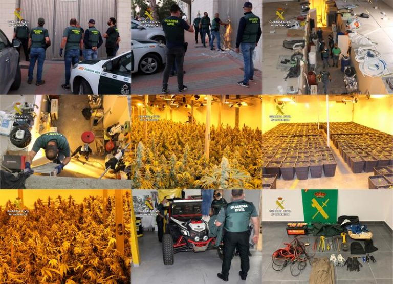 La Guardia Civil desmantela dos invernaderos con 1.500 plantas de marihuana