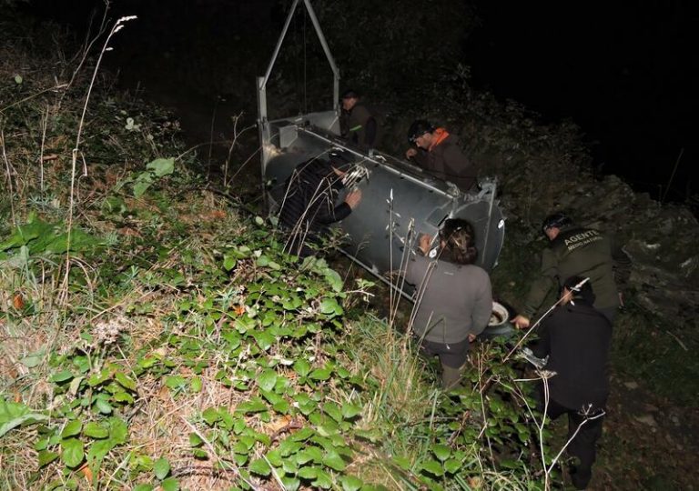 El protocolo de intervención en casos de osos habituados a la presencia humana, 