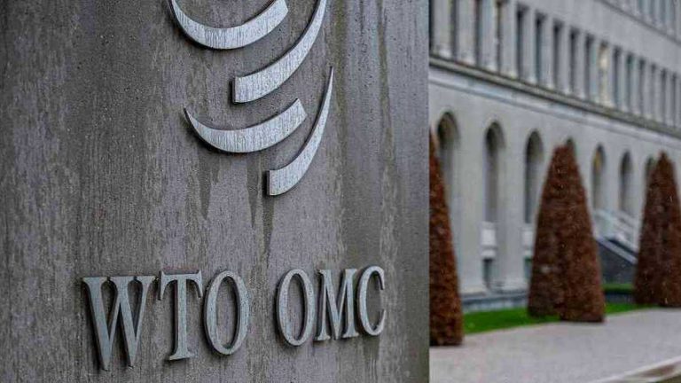 Países de África proponen lanzar el proceso para reelegir a la directora general de la OMC
