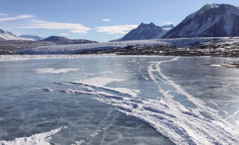 Los microorganismos también se extinguen en grandes cambios climáticos