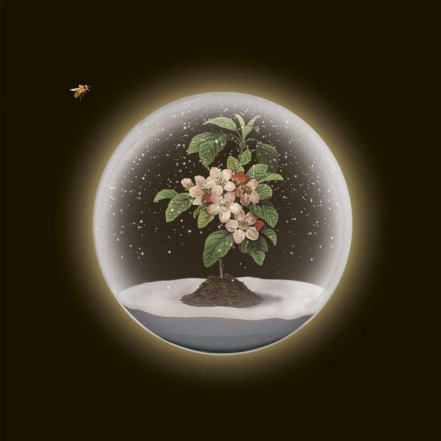 Nacho Vegas la flor de la manzana