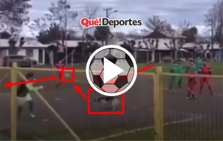 Pues para mi el perro estaba en off side