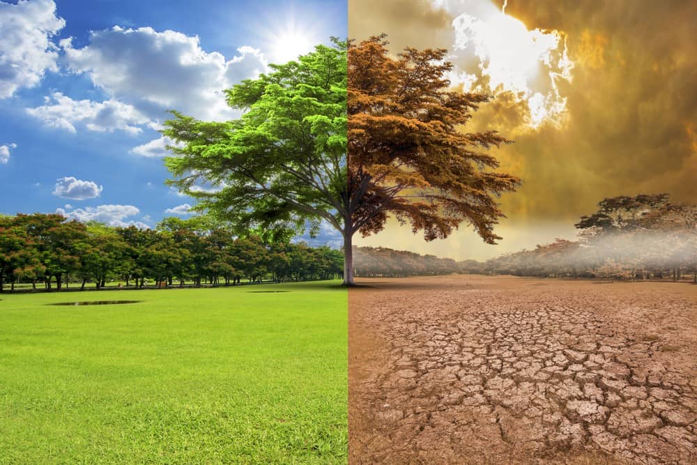 Qué es el cambio climático 1 Qué es el cambio climático