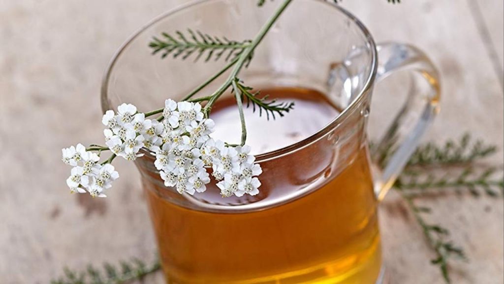 ¿Cuáles son las contraindicaciones de la aquilea?