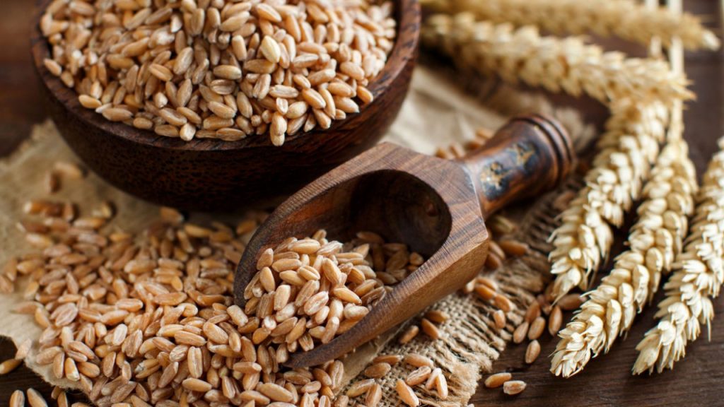 ¿Qué es la Espelta?