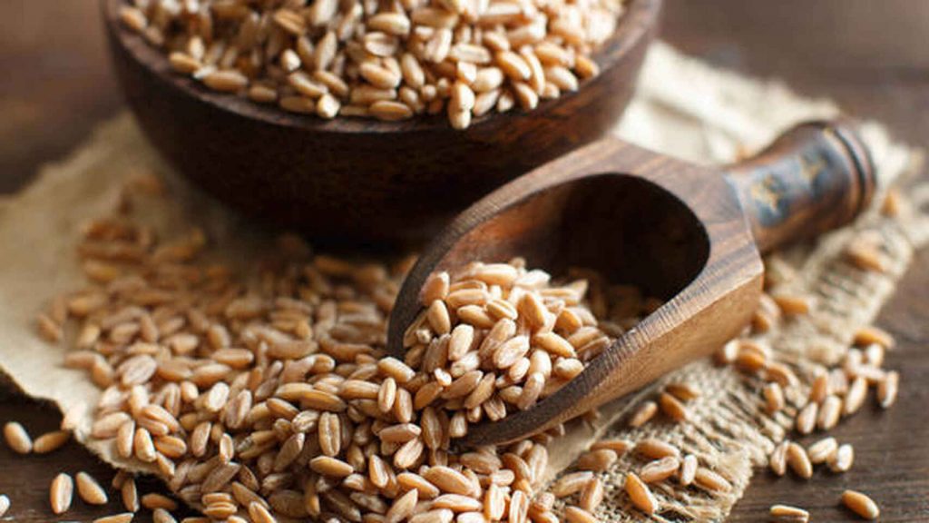 ¿Cuáles son las componentes de la espelta?