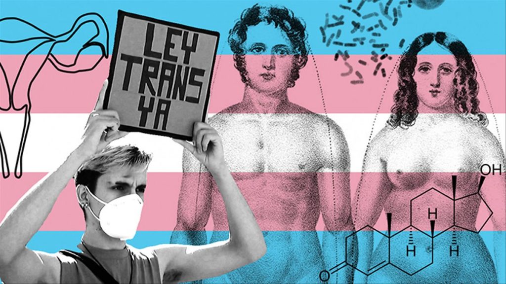 ¿Qué es la ley trans?