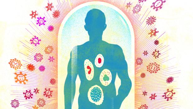 Qué es y cómo funciona el sistema inmunológico