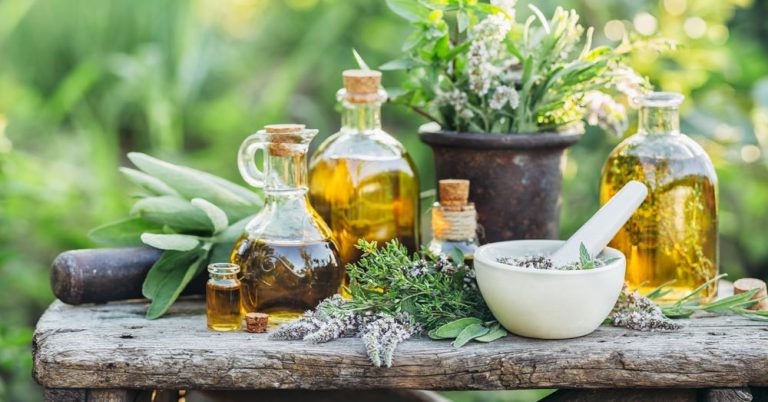 Qué es y cómo funciona un huerto medicinal