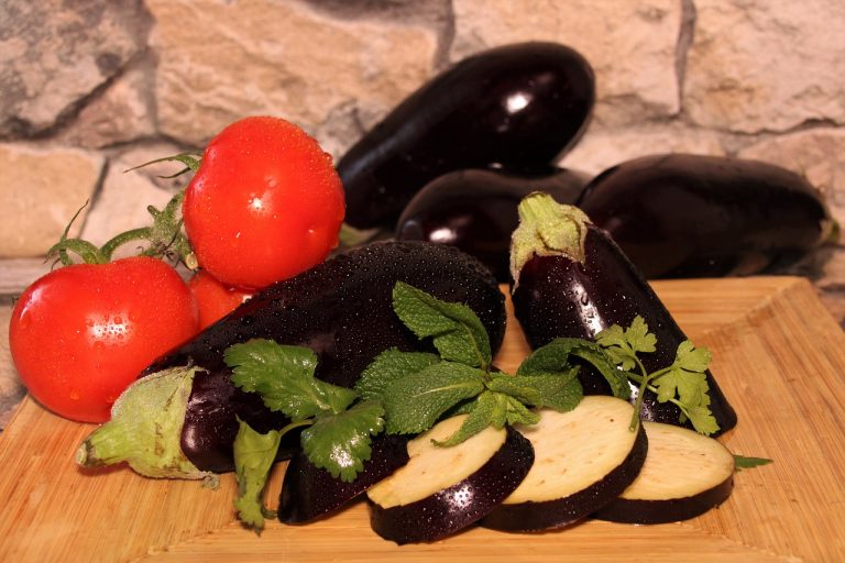 10 recetas de berenjenas para bajar de peso