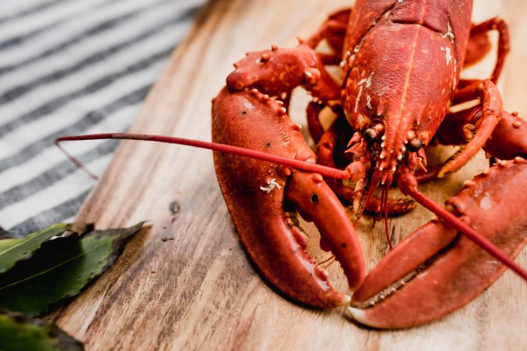 Sibbarita impulsa el placer de quedarse en casa con sus servicios de entrega a domicilio de carne, pescado y marisco de calidad