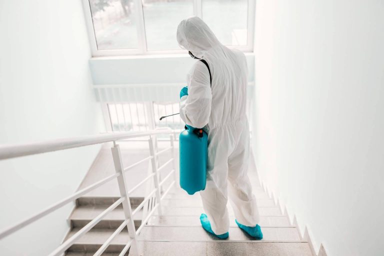 Grupo Sileb ofrece a sus clientes un servicio de limpieza y desinfección de colegios en Madrid y Sevilla