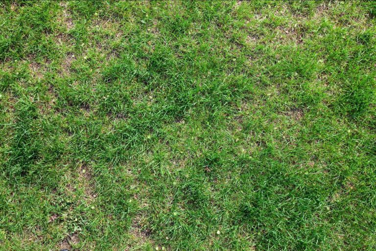 La tajamata forjada en una sola pieza, por la tienda Idea Bazar