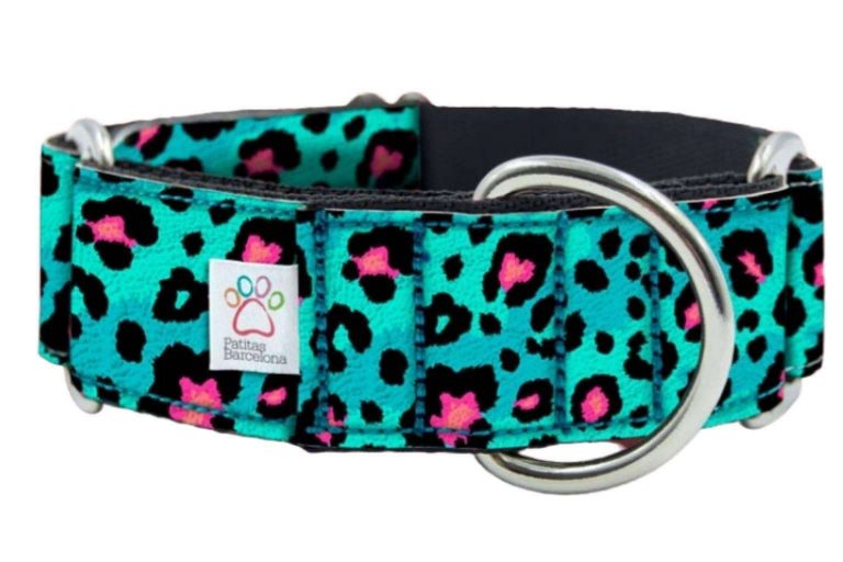 Patitas Barcelona explica qué tipo de collar es mejor para cada perro
