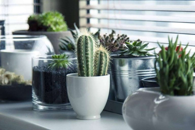 Optar por diferentes estilos en la decoración del diseño de interiores en Decorando Tu Espacio