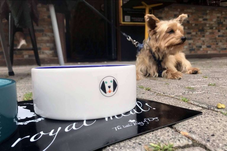 Los menús caninos se abren paso como una de las propuestas más innovadoras de la mano de DoggieSnax De Tapas Con Mi Perro