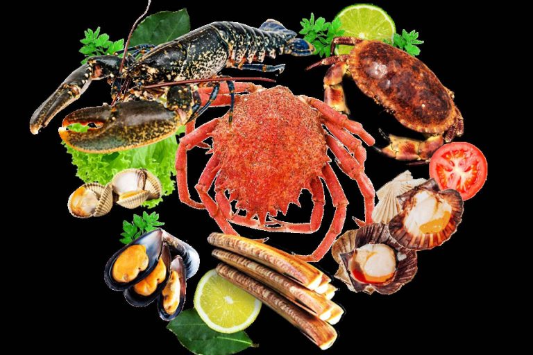 Marisco Galego es una tienda online especializada en marisco a domicilio que celebra un año en el mercado