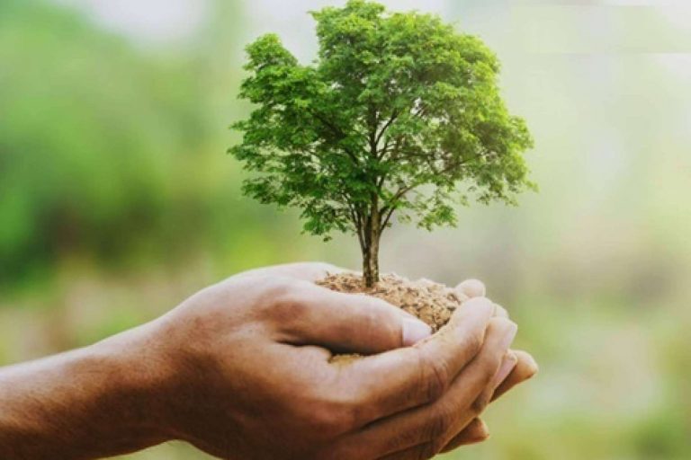 La empresa española Ozonotec ofrece el equipo de desinfección del momento 100% ecológico, Eco Max 8 Automático