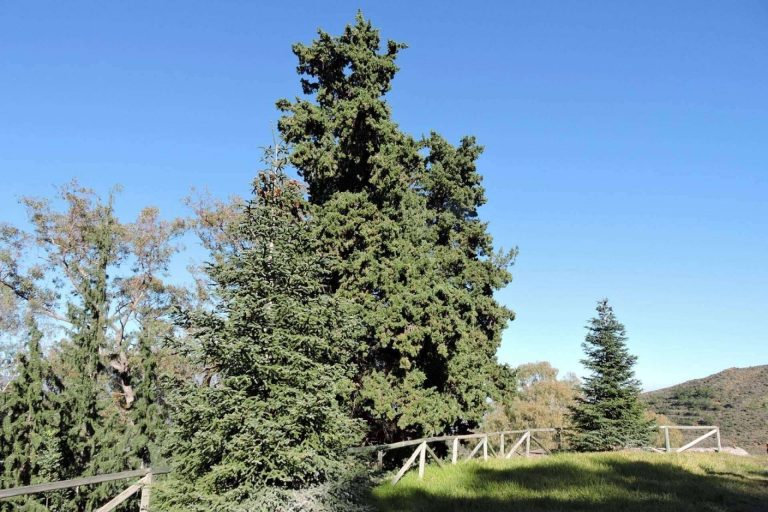 Made In Málaga y la certificación hoteles sostenibles en Málaga, adaptación al cambio y comunicación