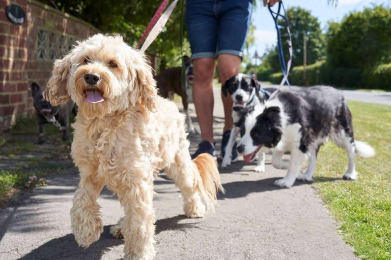 ¿Cómo conseguir más clientes en Madrid gracias a la app Te Valgo?