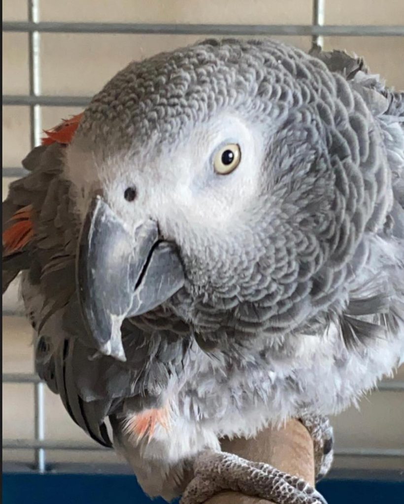 ¿Qué ha sido de Ingrid Asensio, la presentadora de ‘Megatrix’? 