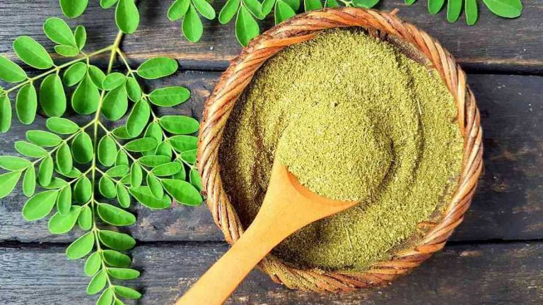 Qué es la moringa y por qué deberías tomarla todos los días