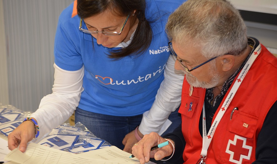 Naturgy, del lado del consumidor, fija una tarifa estable de la luz 1 naturgy servicios colectivos vulnerables