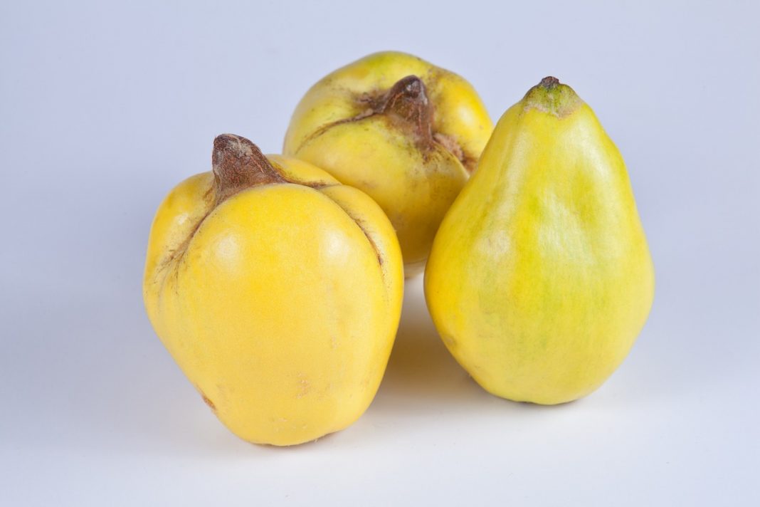 Carne de membrillo: la receta para hacerla como las abuelas