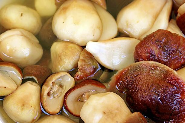 salsa de boletus