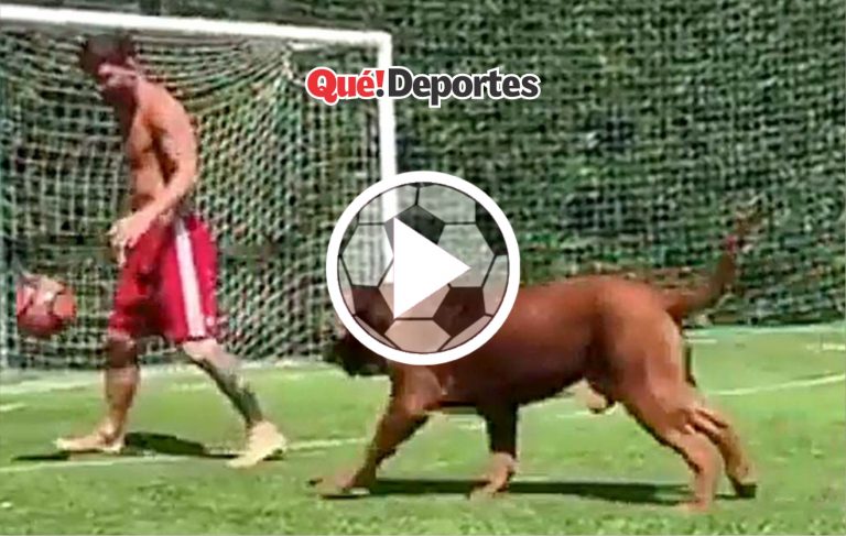 ¡Ahora si que le den el Balón de Oro!