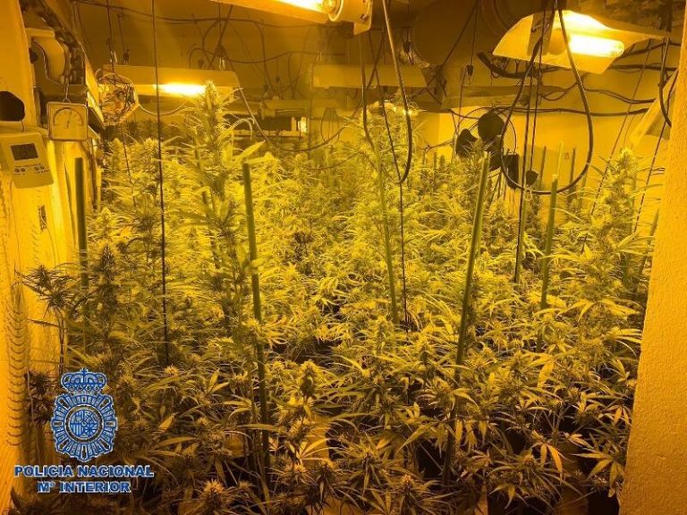 2 detenidos tras desmantelar laboratorios con plantas de marihuana en una vivienda en Vélez-Málaga