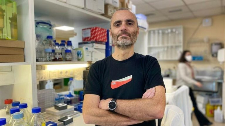 Describen cómo las células tumorales mamarias se escudan del sistema inmune